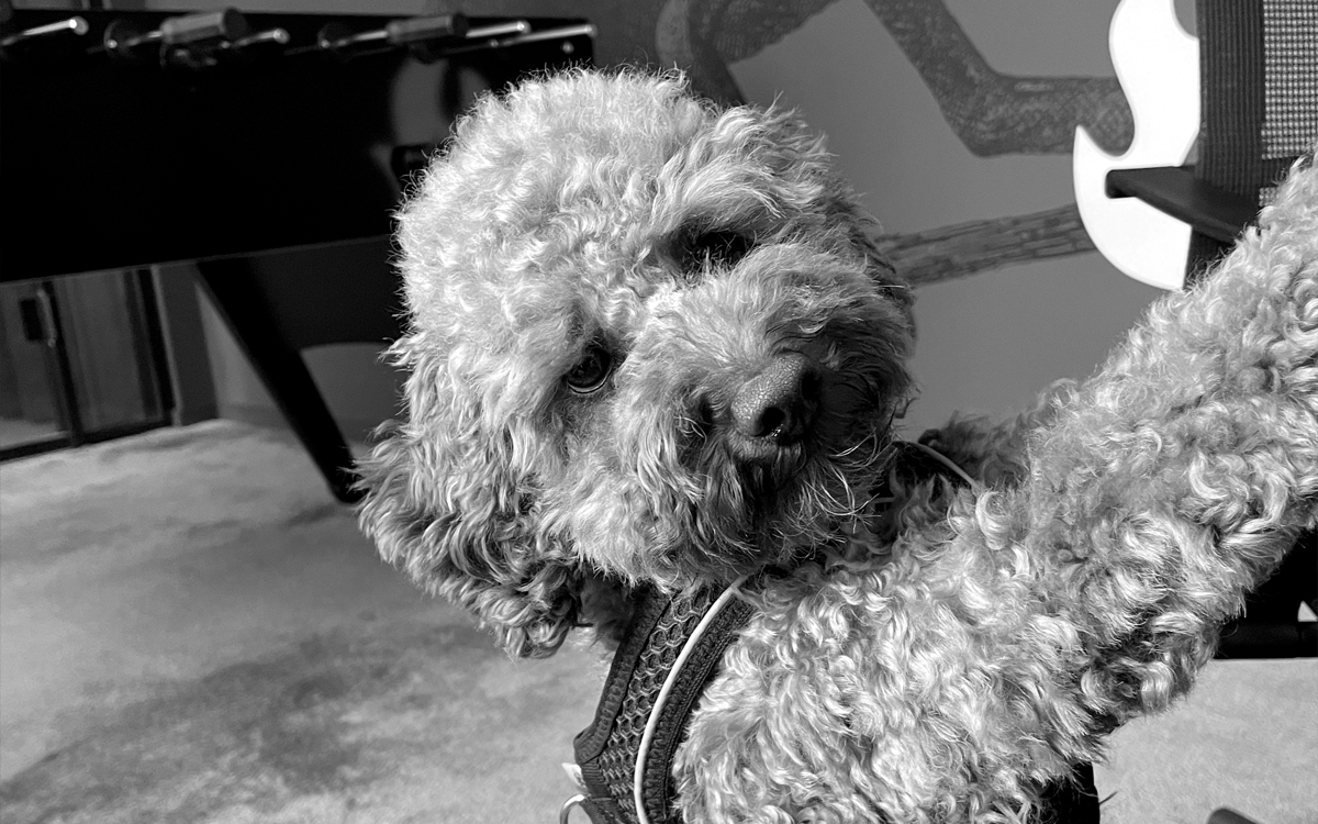George